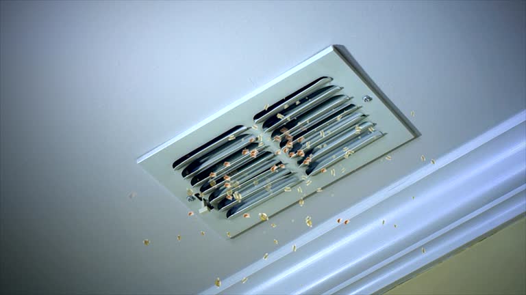 Best Ventilation Cleaning Services  in Glenwood, GA